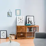 Herbarium *